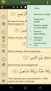 Коран на русском языке 4.0.0c. Скриншот 10