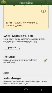 Коран на русском языке 4.0.0c. Скриншот 4
