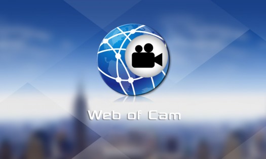 WebOfCam 3.1.0 (build 1210). Скриншот 21