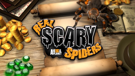 Scary Spiders 1.4.3. Скриншот 1