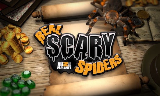 Scary Spiders 1.4.3. Скриншот 3