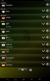 Q Multi Переводчик 1.66. Скриншот 8