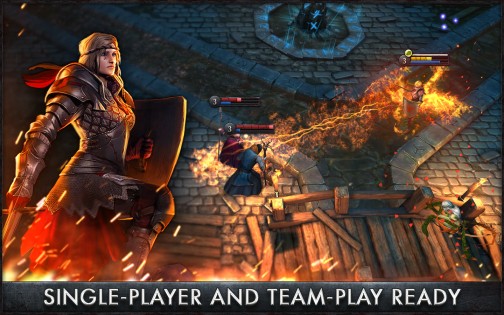 The Witcher Battle Arena 1.1.1. Скриншот 2