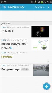 FiiNote 12.9.0.23. Скриншот 15