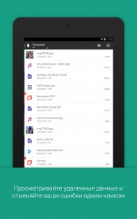 Dumpster 3.31.424.cbee. Скриншот 15
