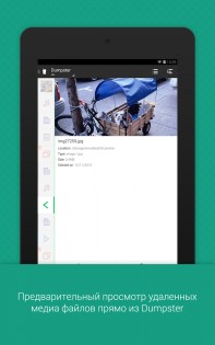 Dumpster 3.31.424.cbee. Скриншот 16