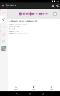 Dumpster 3.31.424.cbee. Скриншот 18
