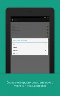 Dumpster 3.31.424.cbee. Скриншот 3