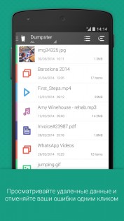 Dumpster 3.31.424.cbee. Скриншот 5