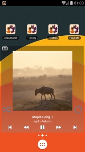 Maple Player Classic 2.7.1. Скриншот 7