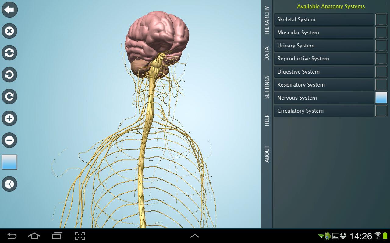 Anatomy pro. Программа анатомия человека 3d. Анатомия приложение 3д. Приложения по анатомии человека.