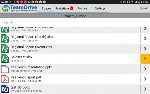 TeamDrive 3.3.2.1251. Скриншот 10