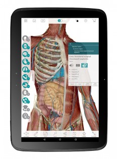 Human Anatomy Atlas 7.4.03. Скриншот 1