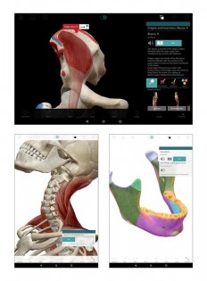 Human Anatomy Atlas 7.4.03. Скриншот 5