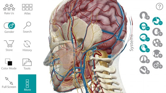 Human Anatomy Atlas 7.4.03. Скриншот 12