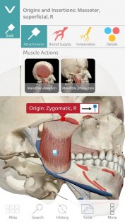 Human Anatomy Atlas 7.4.03. Скриншот 15