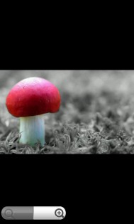 Magic Canvas 1.2. Скриншот 4