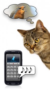 На кошачий 1.11. Скриншот 3