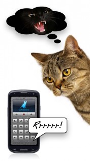 На кошачий 1.11.</p><p> Скриншот 7