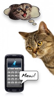 На кошачий 1.11. Скриншот 11