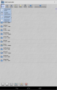 Multi Explorer 1.9.3.1. Скриншот 2