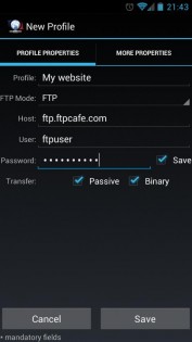 FtpCafe 3.0.4. Скриншот 6