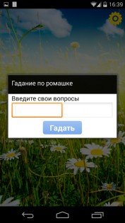 Гадание по ромашке free 1.1. Скриншот 8