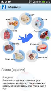 Я беременна 6.20. Скриншот 4