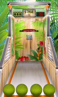 Basketball Mania 4.2. Скриншот 4