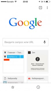 Google Chrome. Скриншот 1