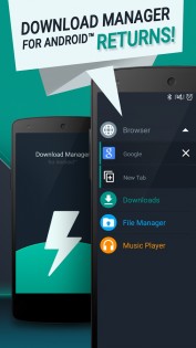 Download Manager for Android 5.10.14010. Скриншот 2