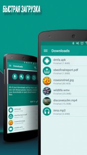 Download Manager for Android 5.10.14010. Скриншот 3