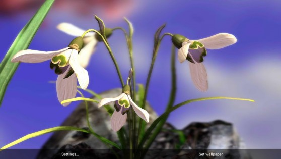 Nature Live: Spring Flowers 3D 1.2. Скриншот 1