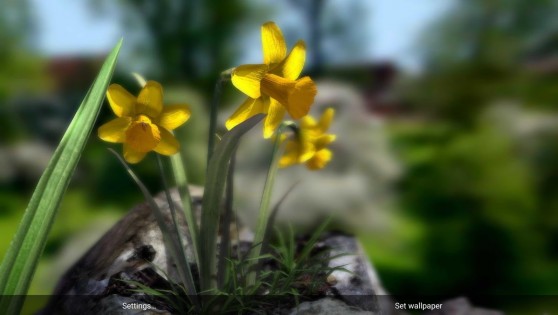 Nature Live: Spring Flowers 3D 1.2. Скриншот 2