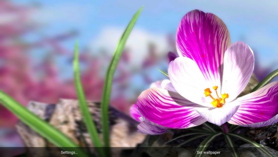 Nature Live: Spring Flowers 3D 1.2. Скриншот 3
