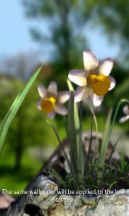 Nature Live: Spring Flowers 3D 1.2. Скриншот 9