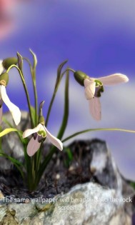 Nature Live: Spring Flowers 3D 1.2. Скриншот 10
