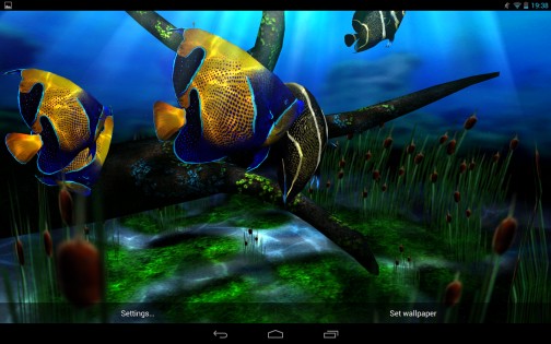 My 3D Fish II 2.3. Скриншот 8