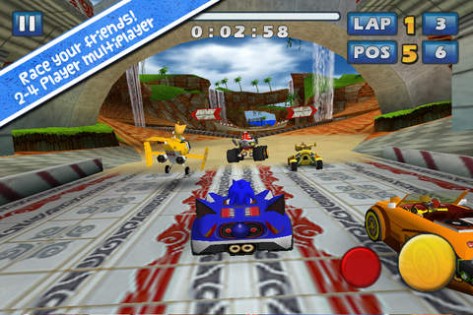 Sonic & SEGA All-Stars Racing. Скриншот 1