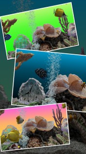 Marine Aquarium 3.3.21. Скриншот 3