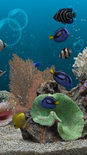Marine Aquarium 3.3.21. Скриншот 11