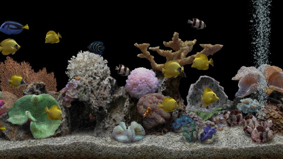 Marine Aquarium 3.3.21. Скриншот 13