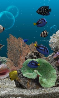 Marine Aquarium 3.3.21. Скриншот 19