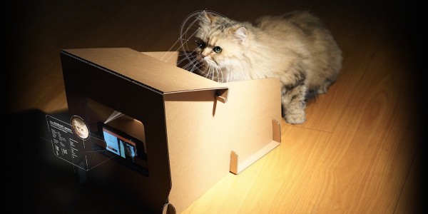 CatFi Box – умная кормушка для котиков