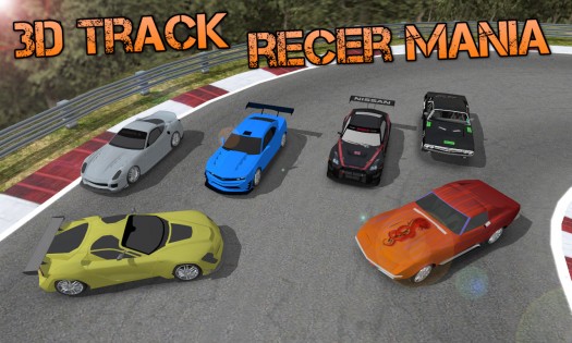 3d Track Race Mania 1.0.4. Скриншот 3