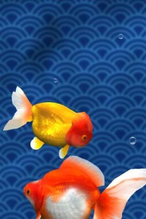 Gold Fish 3D.Free 1.1.2. Скриншот 1