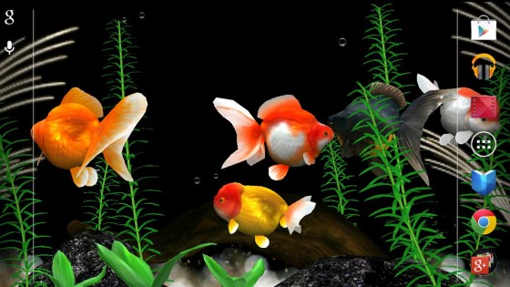 Gold Fish 3D.Free 1.1.2. Скриншот 2