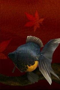 Gold Fish 3D.Free 1.1.2. Скриншот 3