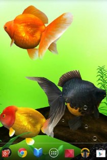 Gold Fish 3D.Free 1.1.2. Скриншот 5