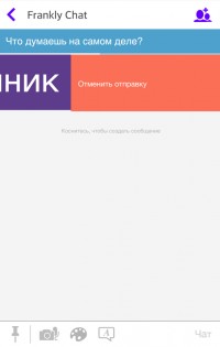 Frankly Chat 3.6.2. Скриншот 5